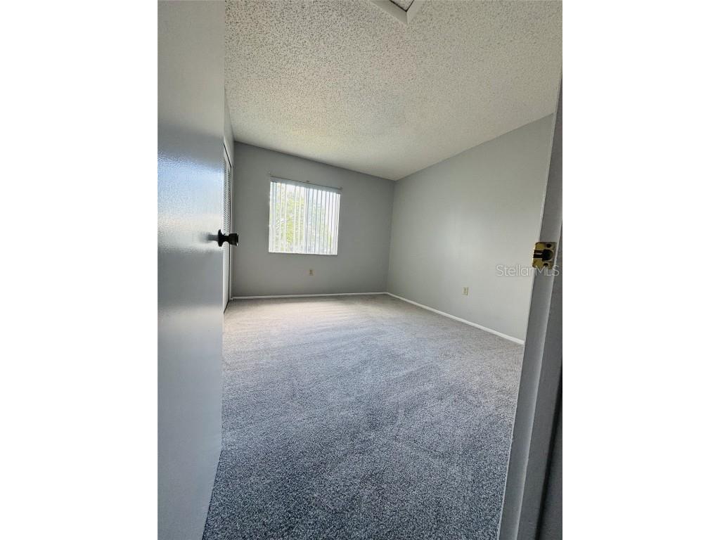 144 Cypress Lane Oldsmar FL 34677 TB8416055 image5