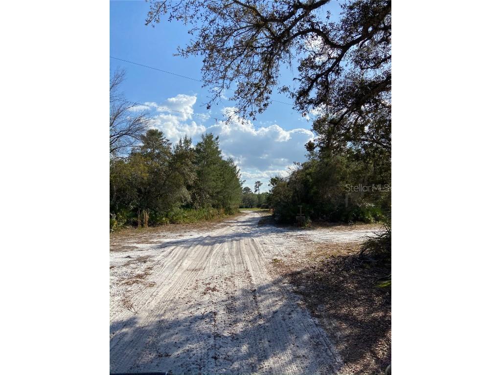 144 Drayton Island Road Georgetown FL 32139 TB8406358 image4