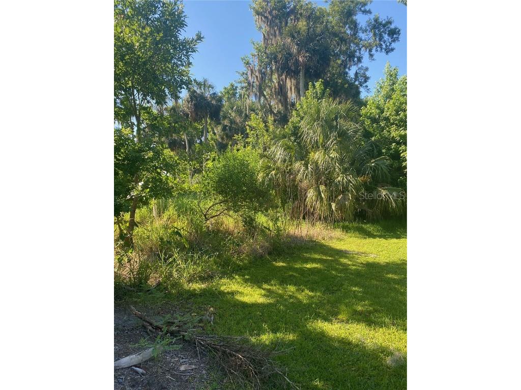 144 Drayton Island Road Georgetown FL 32139 TB8406358 image6