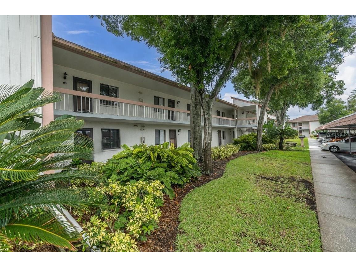 144 Lakeview Way #60 Oldsmar FL 34677 U8204742 image1