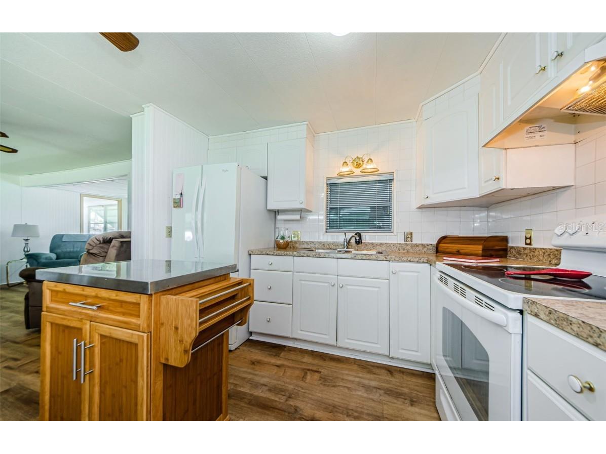 144 Melody Lane Tarpon Springs FL 34689 TB8371006 image4