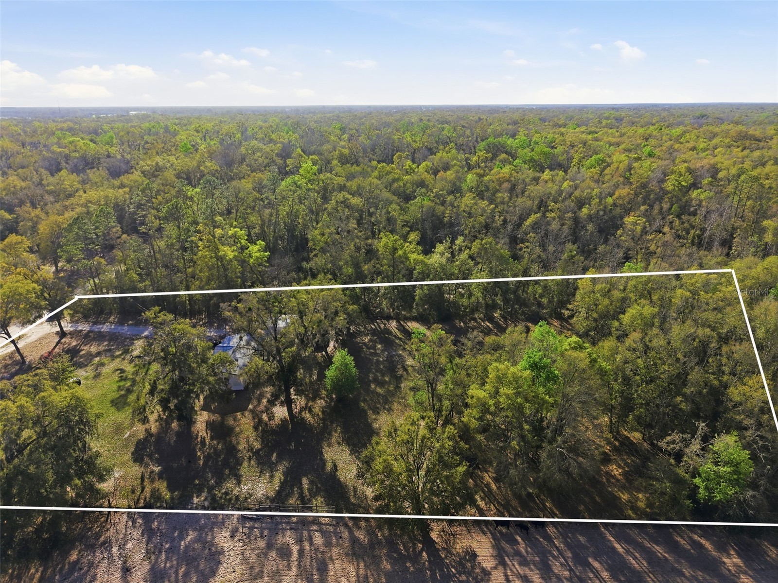 144 NE 159th Avenue Old Town FL 32680 W7883585 image33