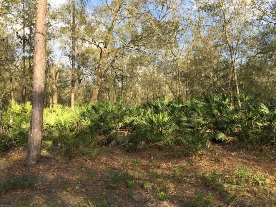 144 Phillips Road Florahome FL 32140 T3505899 image1