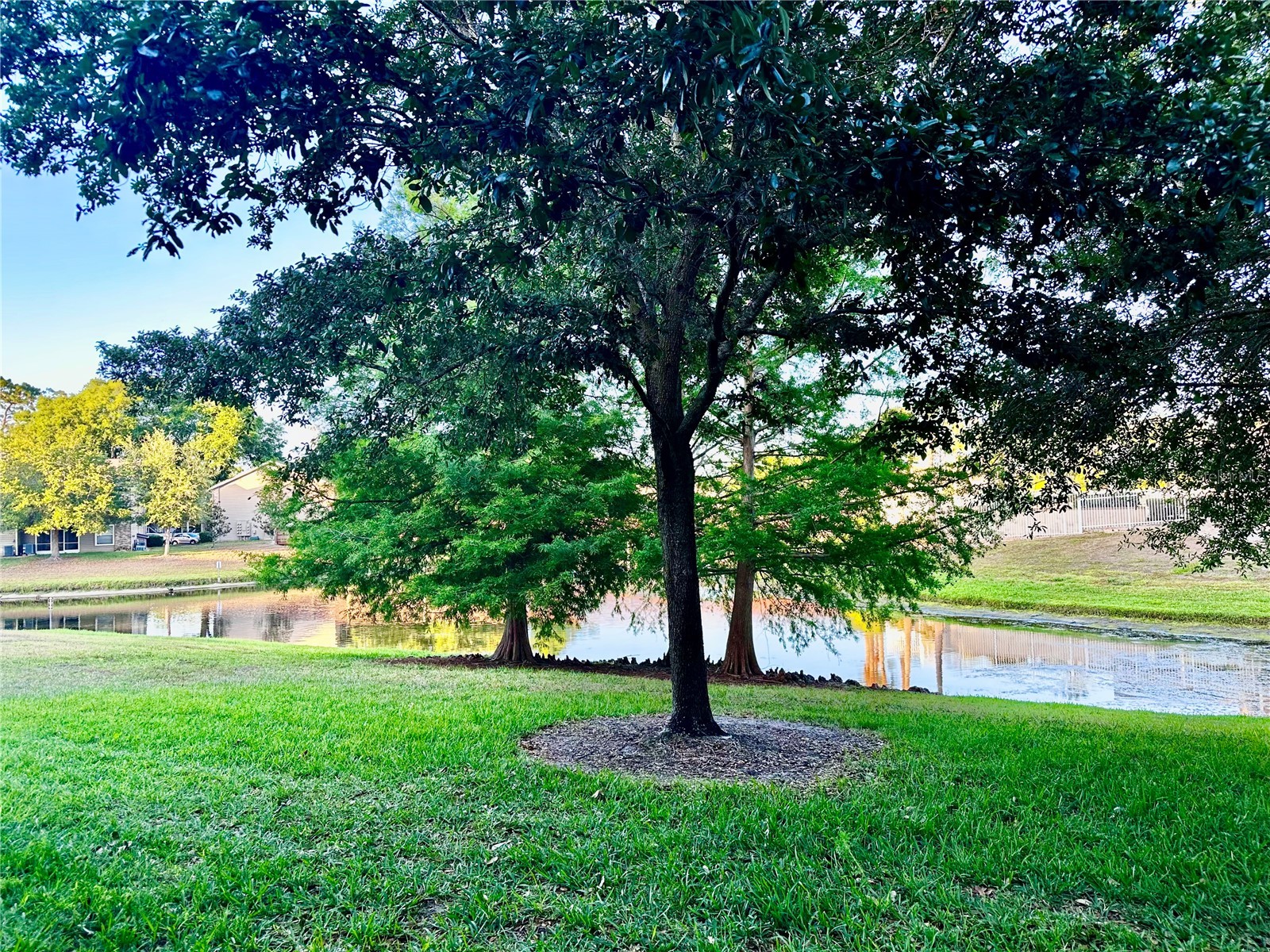 144 Reserve Circle #100 Oviedo FL 32765 O6409501 image12