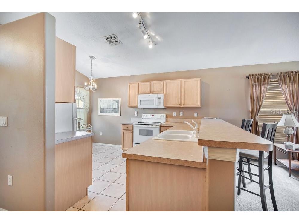 144 Seville Pointe Avenue Orlando FL 32807 O6422521 image10