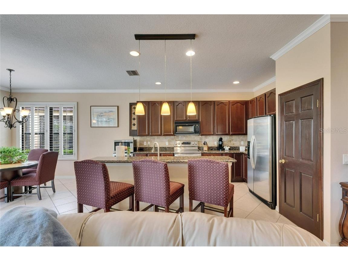 144 Silver Falls Apollo Beach FL 33572 TB8357765 image13