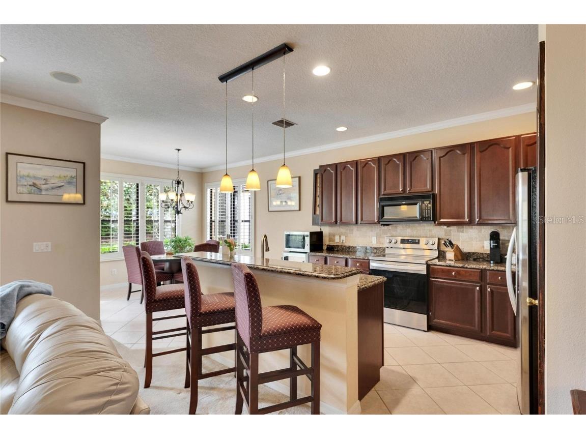 144 Silver Falls Apollo Beach FL 33572 TB8357765 image15