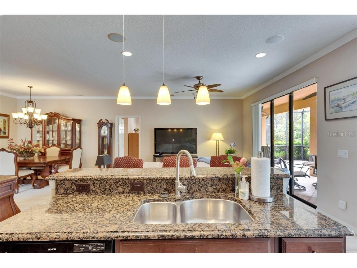 144 Silver Falls Apollo Beach FL 33572 TB8357765 image17