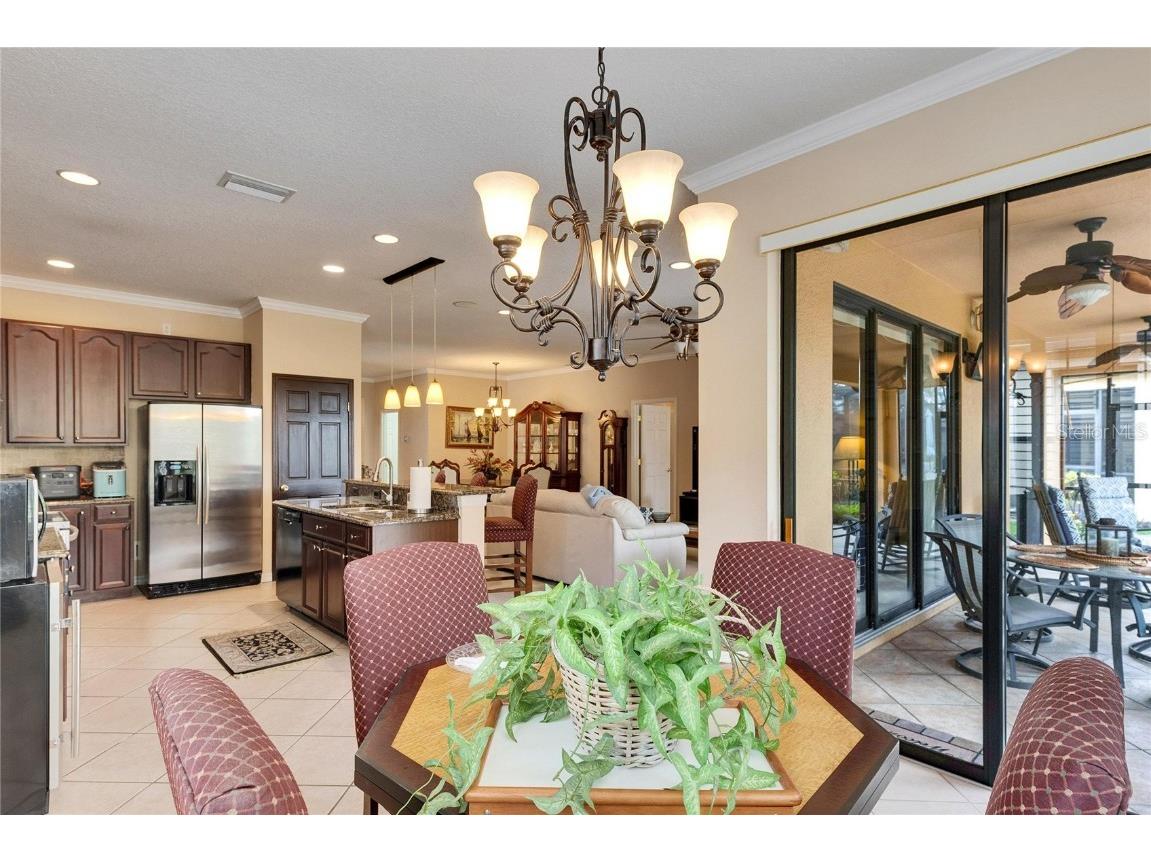 144 Silver Falls Apollo Beach FL 33572 TB8357765 image20