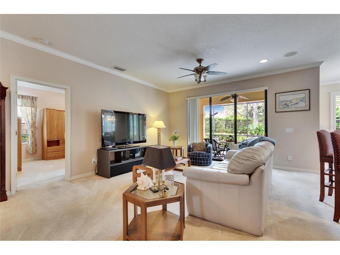 144 Silver Falls Apollo Beach FL 33572 TB8357765 image21