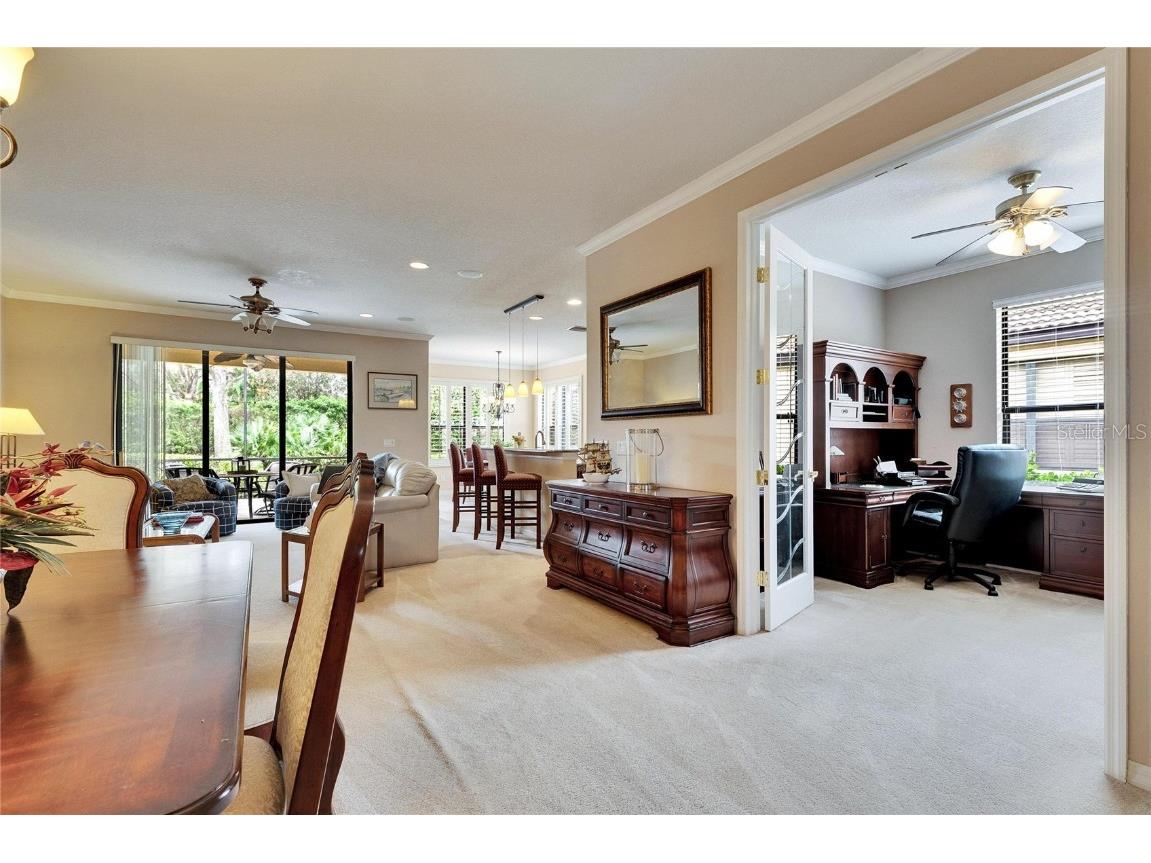 144 Silver Falls Apollo Beach FL 33572 TB8357765 image23