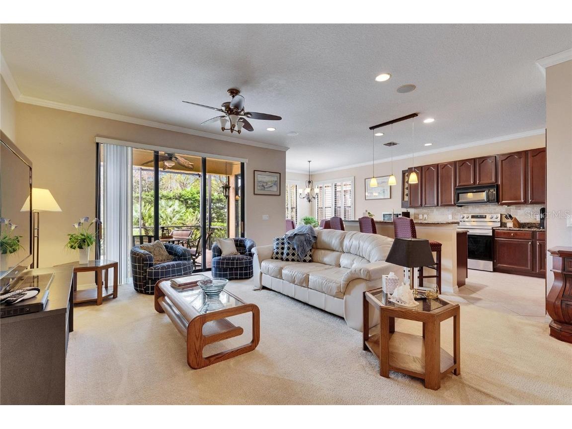 144 Silver Falls Apollo Beach FL 33572 TB8357765 image24