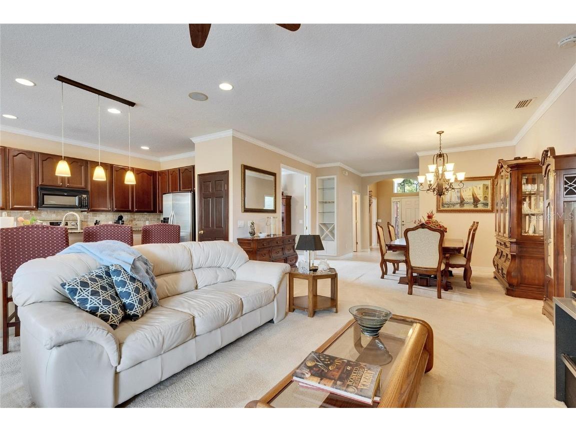 144 Silver Falls Apollo Beach FL 33572 TB8357765 image25