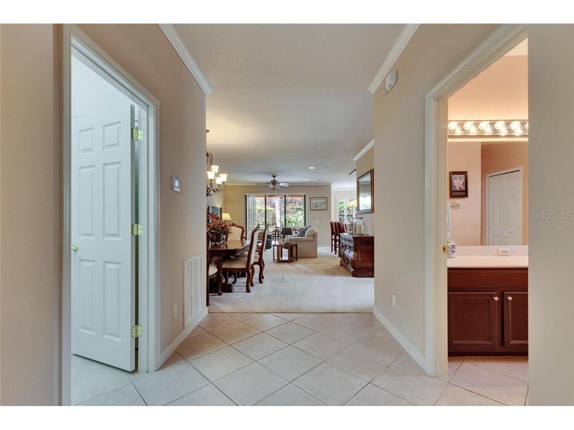 144 Silver Falls Apollo Beach FL 33572 TB8357765 image26