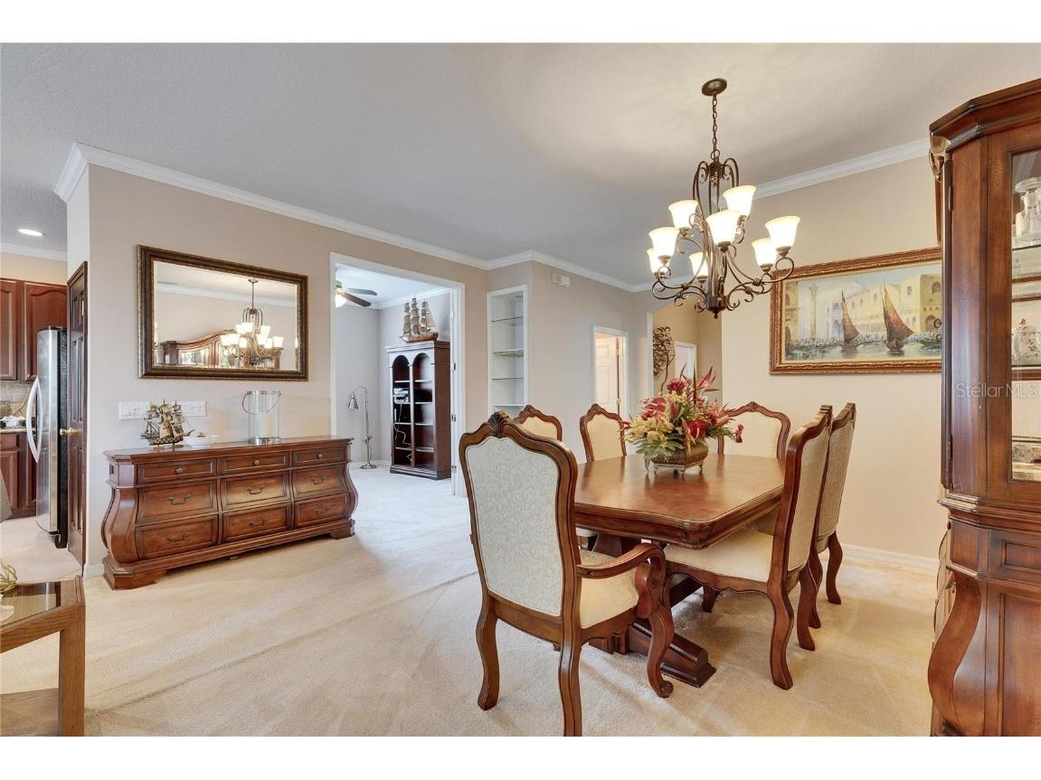 144 Silver Falls Apollo Beach FL 33572 TB8357765 image27