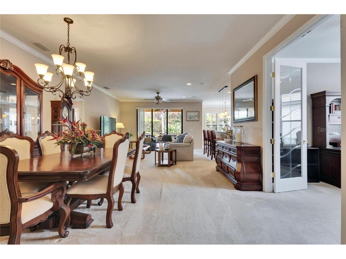 144 Silver Falls Apollo Beach FL 33572 TB8357765 image28