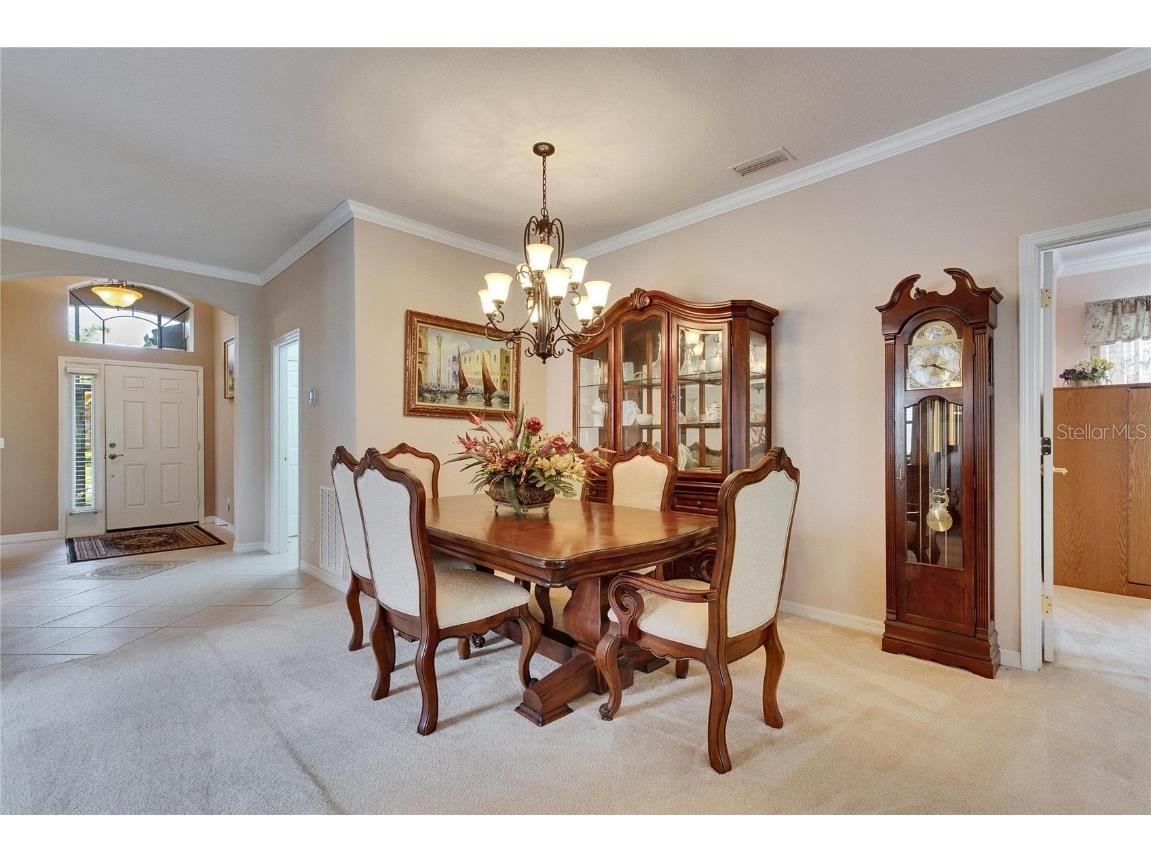 144 Silver Falls Apollo Beach FL 33572 TB8357765 image29