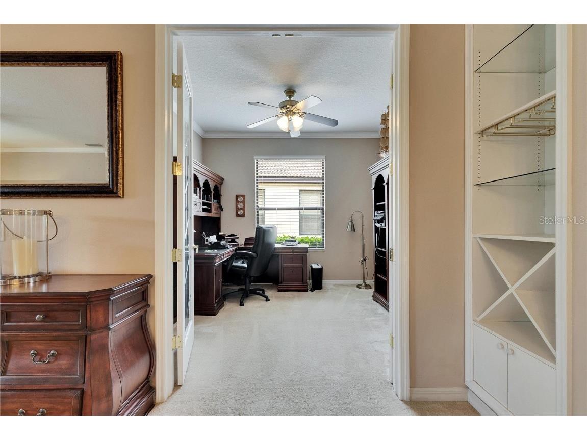 144 Silver Falls Apollo Beach FL 33572 TB8357765 image30