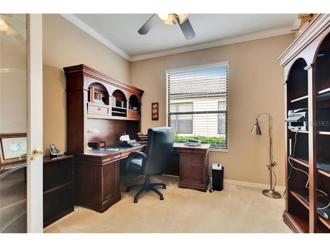 144 Silver Falls Apollo Beach FL 33572 TB8357765 image31