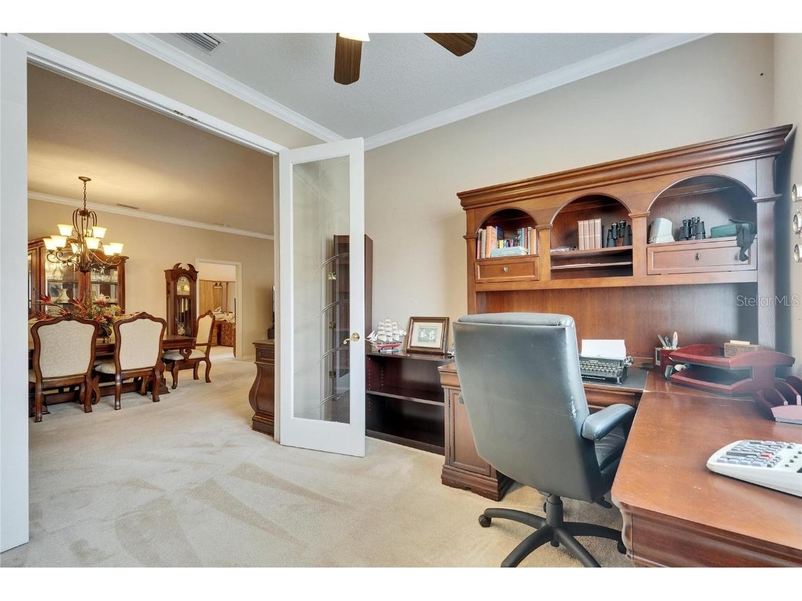 144 Silver Falls Apollo Beach FL 33572 TB8357765 image32