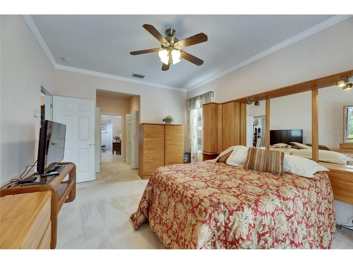 144 Silver Falls Apollo Beach FL 33572 TB8357765 image35