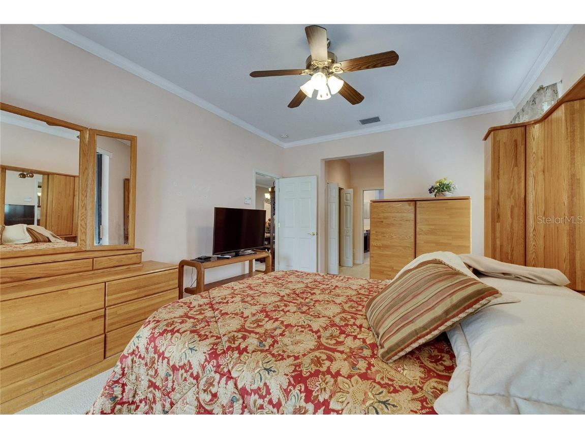 144 Silver Falls Apollo Beach FL 33572 TB8357765 image36