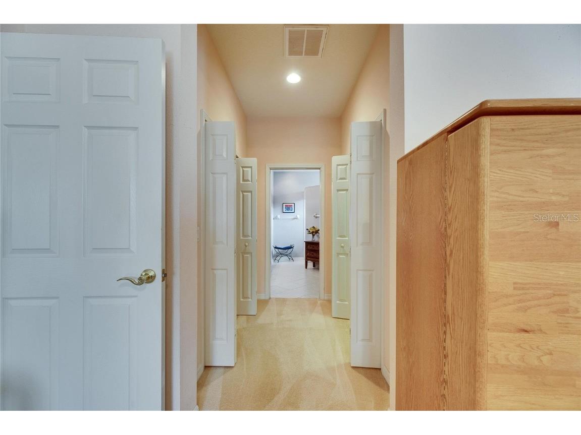 144 Silver Falls Apollo Beach FL 33572 TB8357765 image38