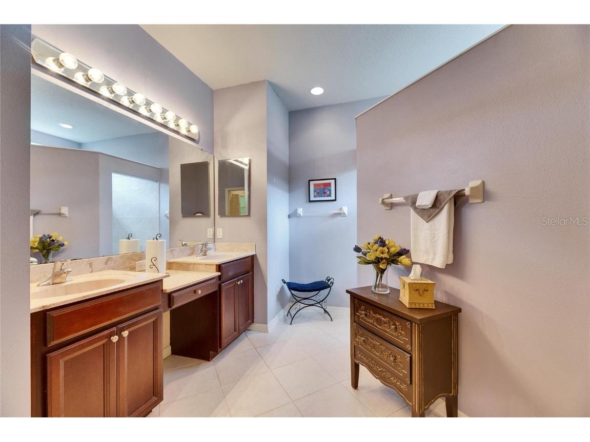 144 Silver Falls Apollo Beach FL 33572 TB8357765 image39