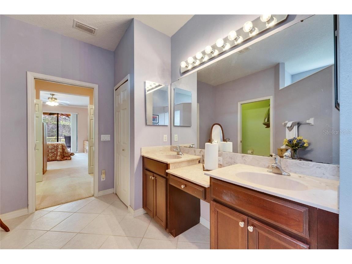 144 Silver Falls Apollo Beach FL 33572 TB8357765 image40