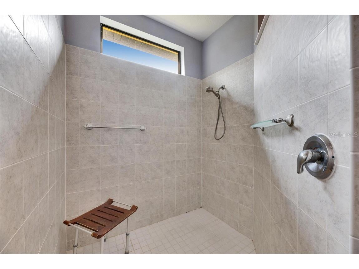 144 Silver Falls Apollo Beach FL 33572 TB8357765 image41