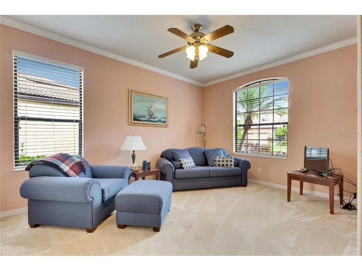 144 Silver Falls Apollo Beach FL 33572 TB8357765 image42