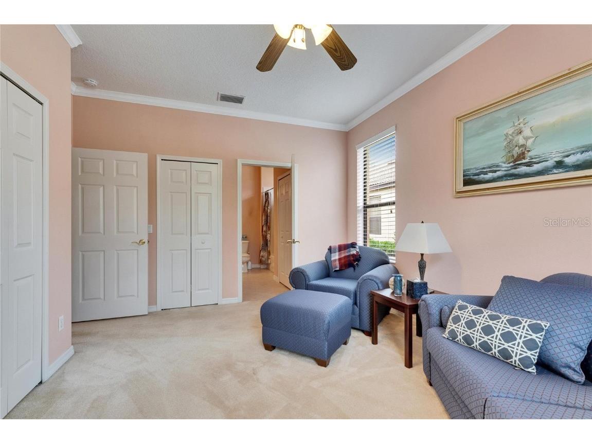 144 Silver Falls Apollo Beach FL 33572 TB8357765 image44