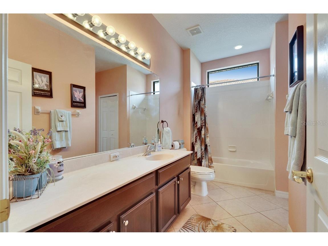 144 Silver Falls Apollo Beach FL 33572 TB8357765 image46