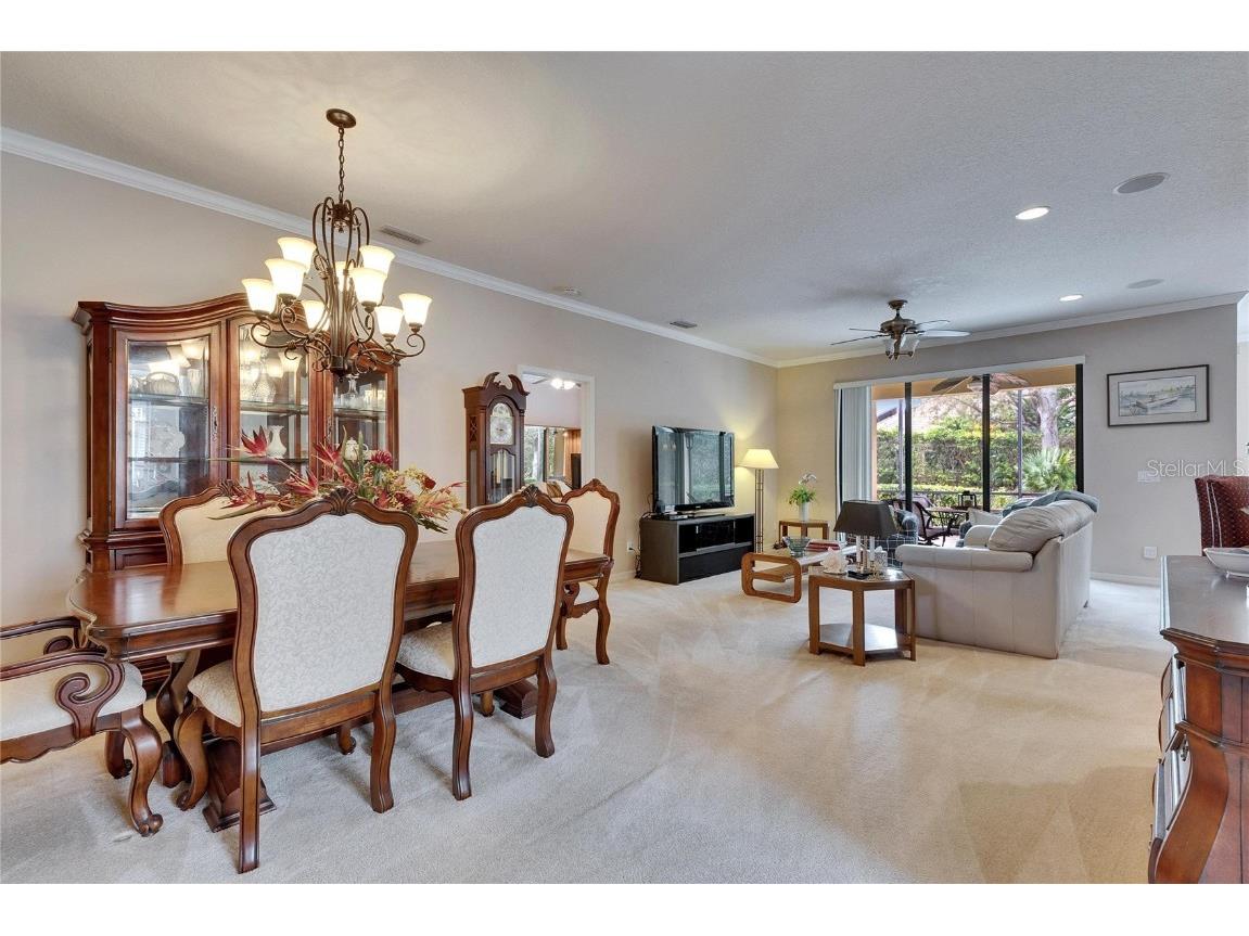 144 Silver Falls Apollo Beach FL 33572 TB8357765 image5