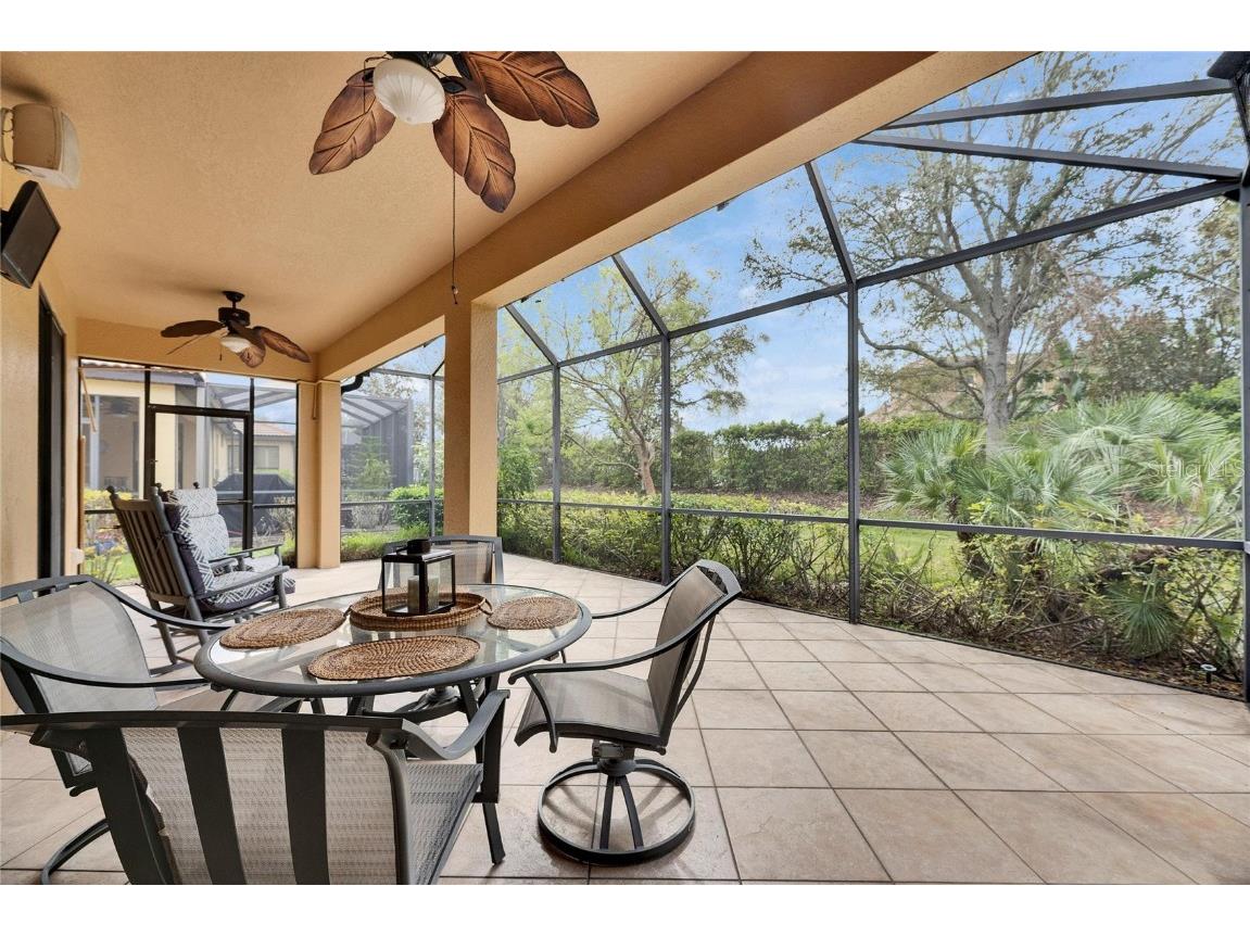 144 Silver Falls Apollo Beach FL 33572 TB8357765 image50