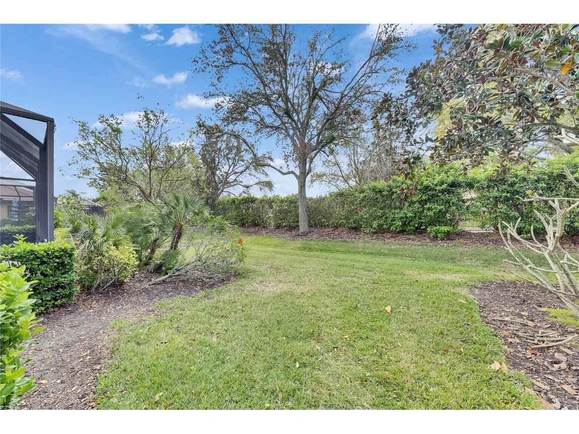 144 Silver Falls Apollo Beach FL 33572 TB8357765 image54