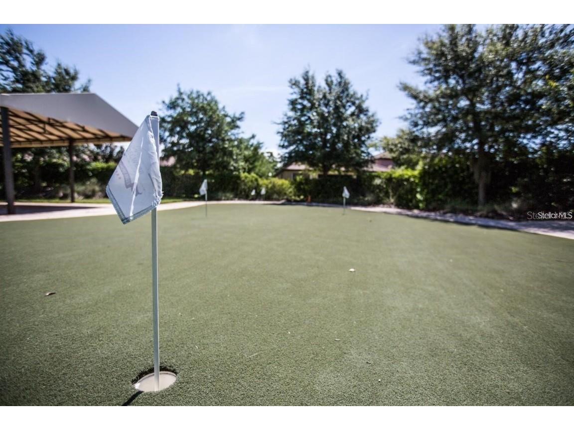 144 Silver Falls Apollo Beach FL 33572 TB8357765 image85