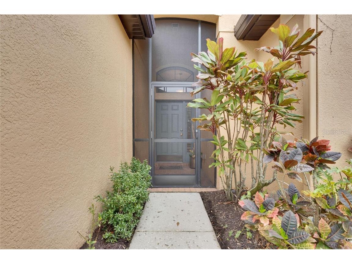 144 Silver Falls Apollo Beach FL 33572 TB8357765 image9