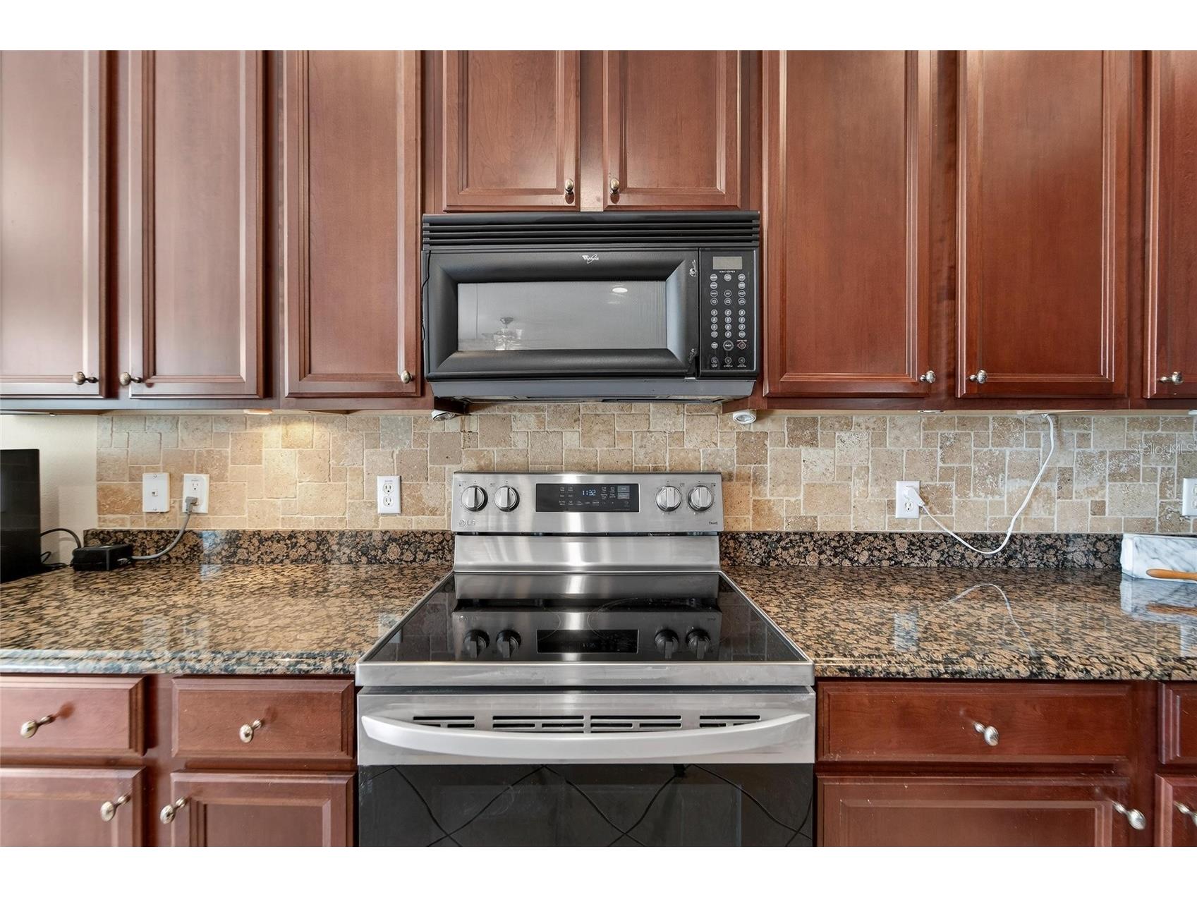 144 Silver Falls Drive Apollo Beach FL 33572 TB8486212 image14