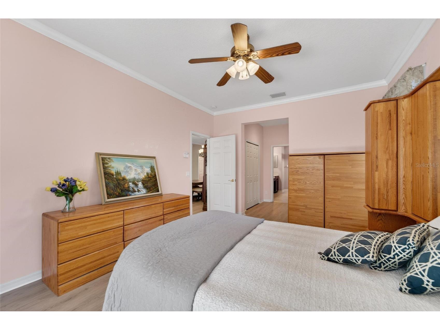 144 Silver Falls Drive Apollo Beach FL 33572 TB8486212 image33