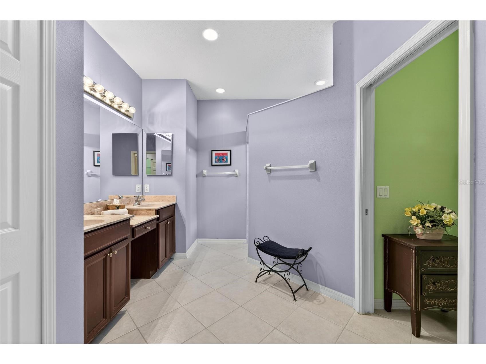 144 Silver Falls Drive Apollo Beach FL 33572 TB8486212 image39