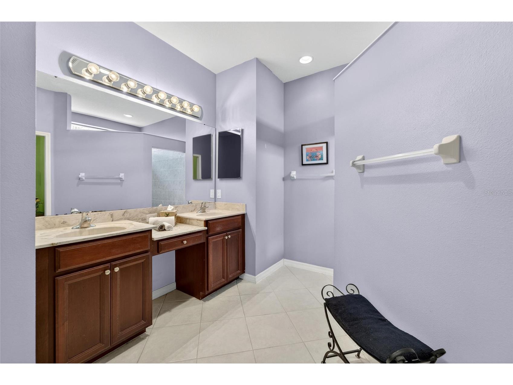 144 Silver Falls Drive Apollo Beach FL 33572 TB8486212 image41