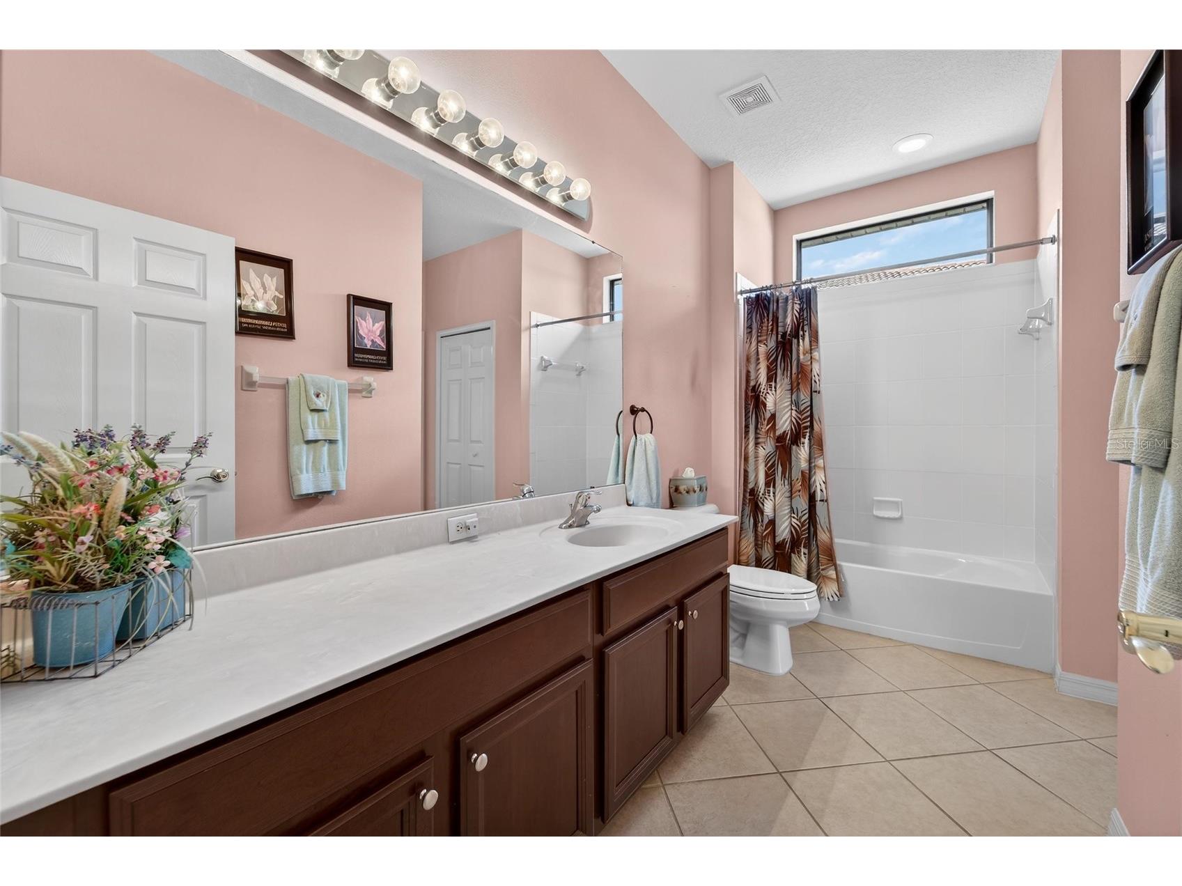 144 Silver Falls Drive Apollo Beach FL 33572 TB8486212 image46