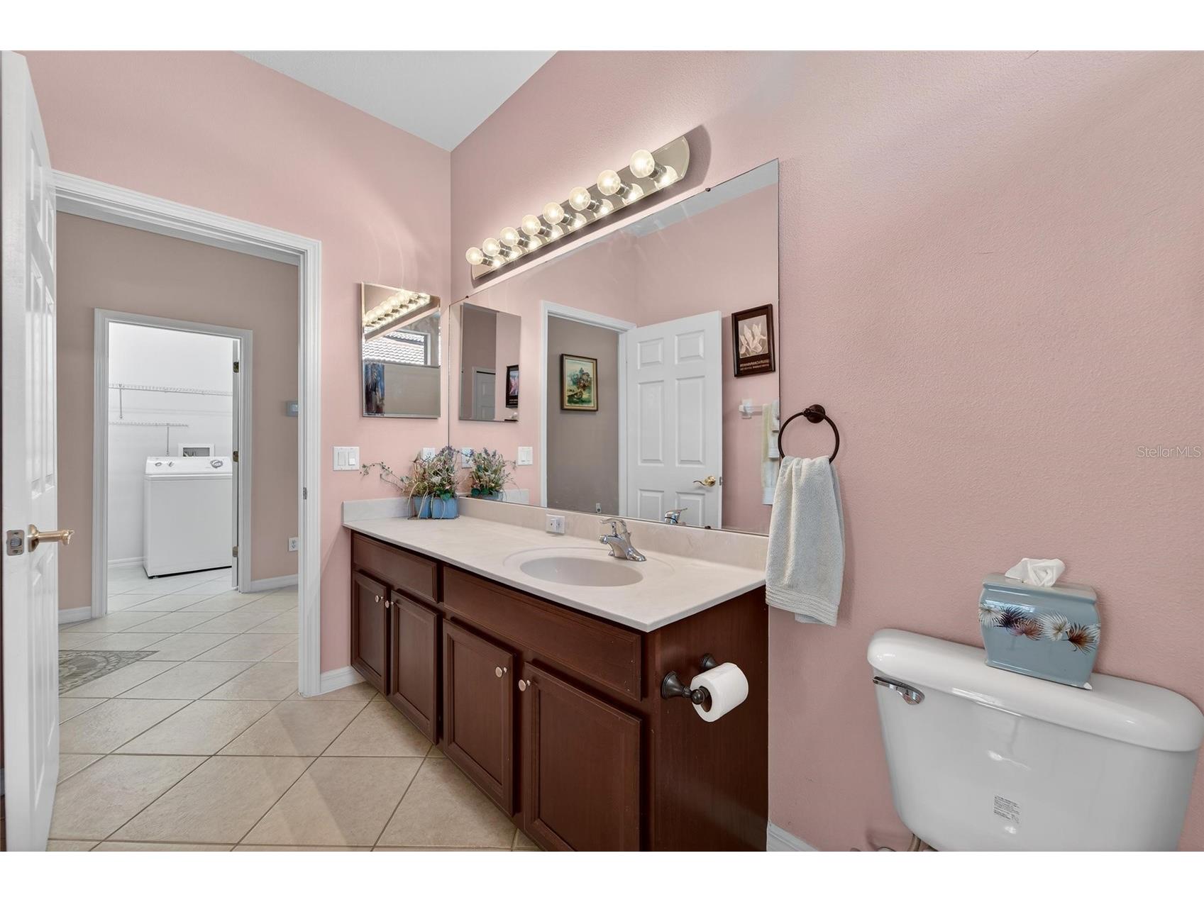 144 Silver Falls Drive Apollo Beach FL 33572 TB8486212 image48