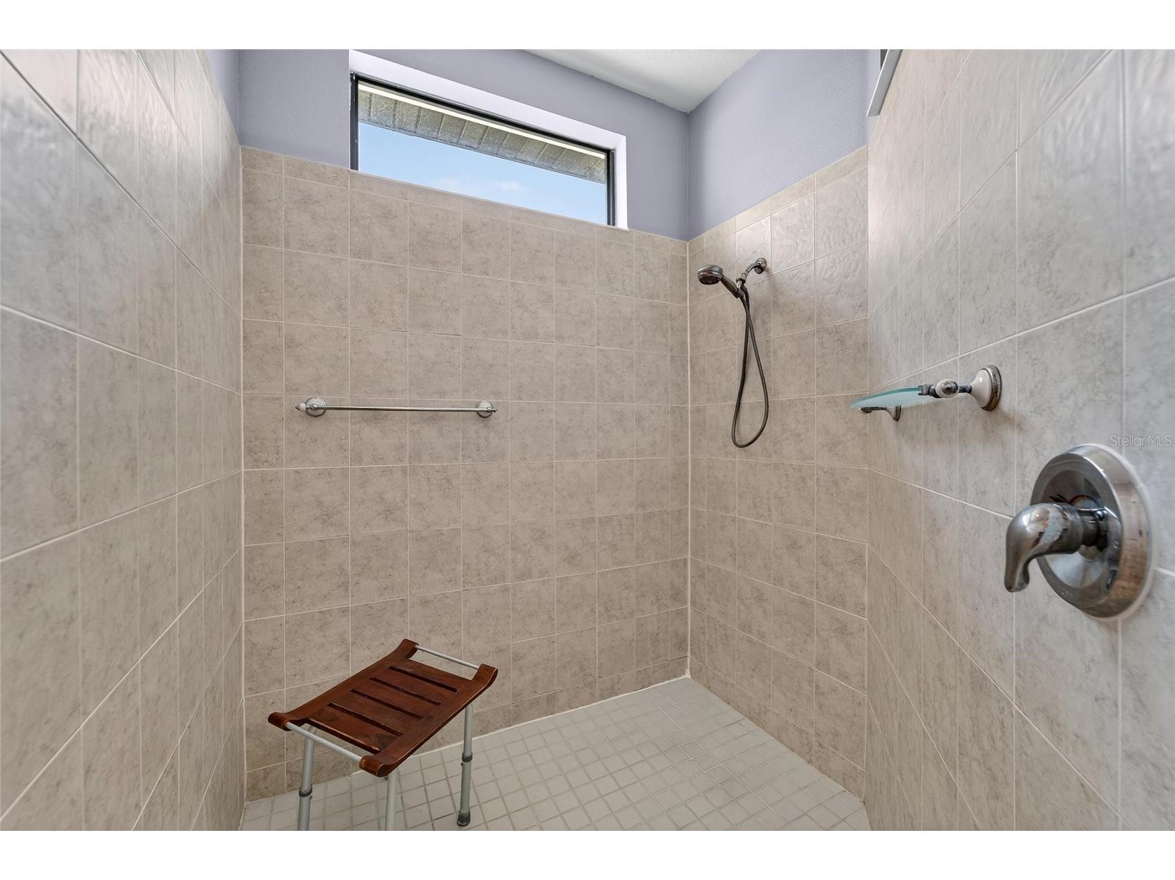 144 Silver Falls Drive Apollo Beach FL 33572 TB8486212 image50