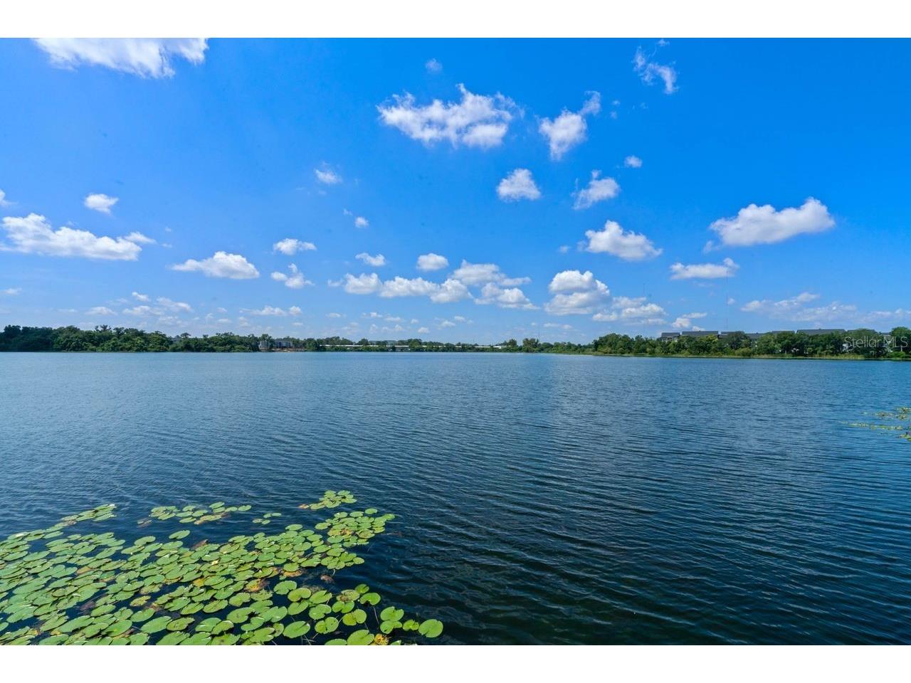 1440 Lake Shadow Circle #8201 Maitland FL 32751 - LAKE SHADOW O6416664 image38