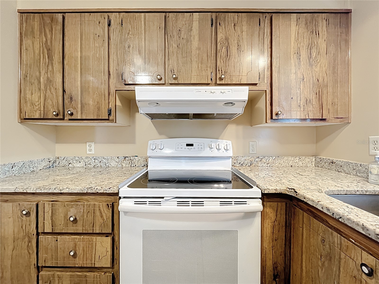 1440 Nassau Circle Tavares FL 32778 G5111582 image6