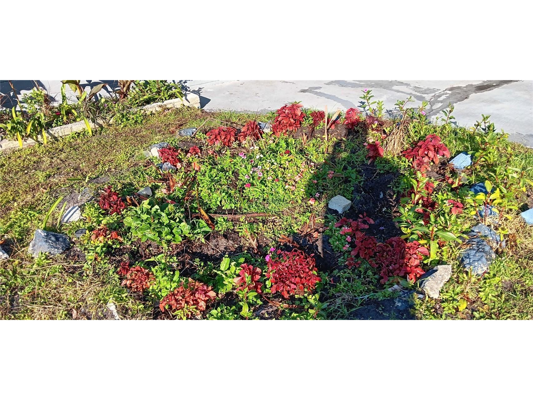 1440 SE 23rd Avenue Gainesville FL 32641 W7880965 image41