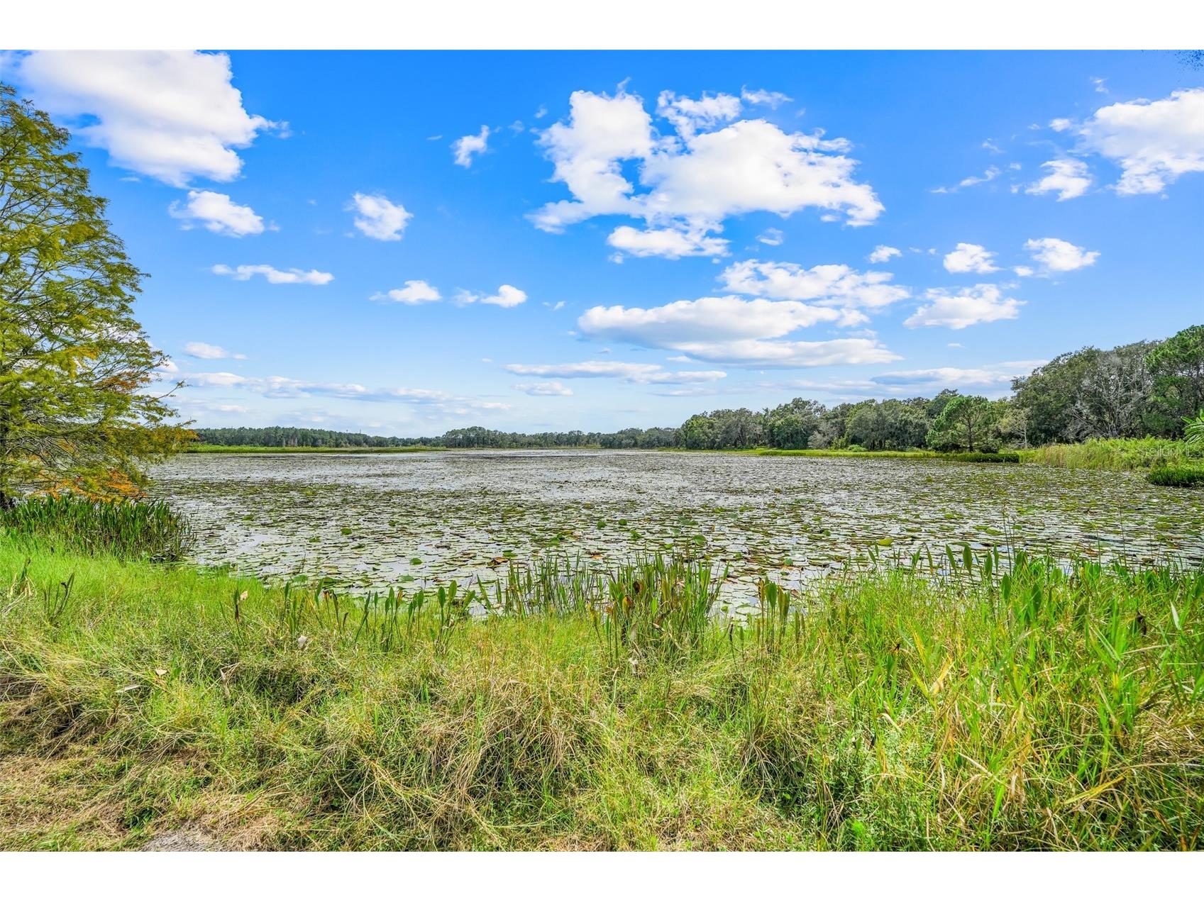 1440 Selman Road Leesburg FL 34748 - ROBINSON POND G5102097 image29