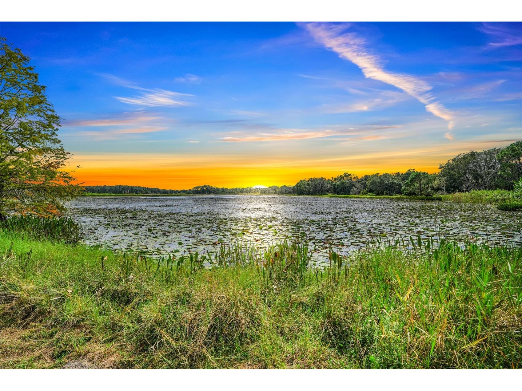 1440 Selman Road Leesburg FL 34748 - ROBINSON POND G5102097 image30